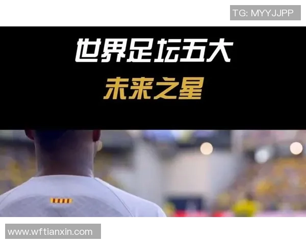 2025年亚洲足球前十球星排名揭晓谁是足坛之星